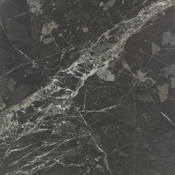 Savoir Noir Rectangle 12X24 Polished