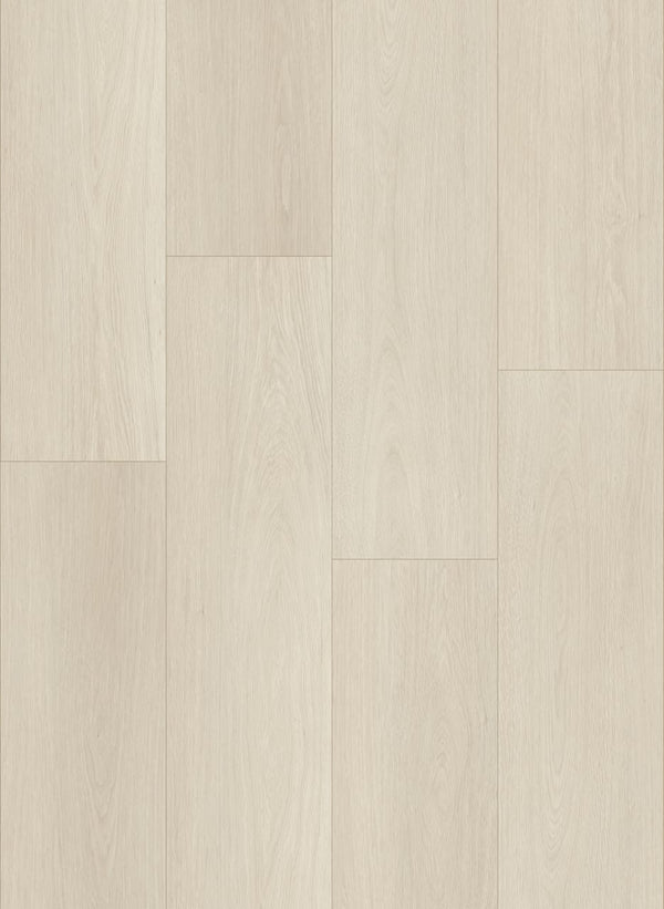 WHISPER WOODS LITE COAST MIST
