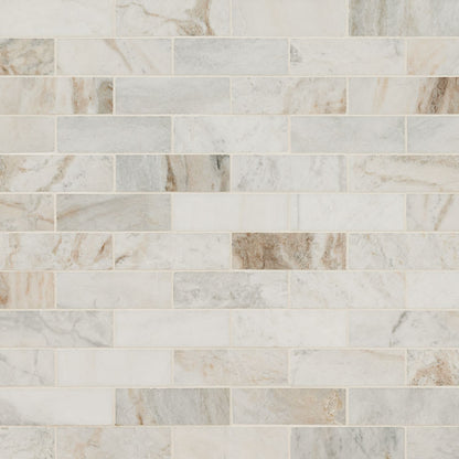 Arabescato Venato Tile 2x6