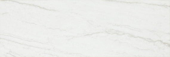Platinum Oyster Rectangle 12X24 Matte
