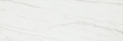 Platinum Oyster Rectangle 12X24 Matte