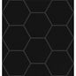 TIMES SQUARE BLACK PL 4"HEX/MO