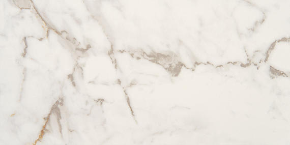 Marble Obsession Calacatta Gold Rectangle 12X24 Matte