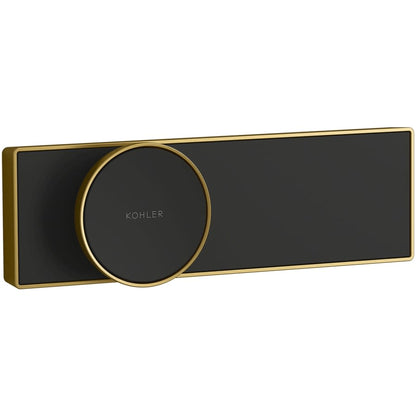 Anthem Programmable Digital Shower Controller