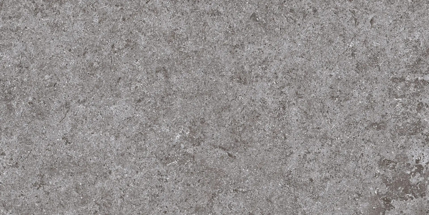 12X24 BASALT FD GREY