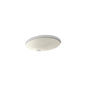 Caxton® Under Mount Lavatory Sink, ADA, 19-1/4 x 16-1/4 x 7-1/2 in, Vitreous China, Biscuit