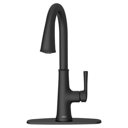 Renate 1.5 GPM Single Hole Pull Down Kitchen Faucet - Includes Escutcheon