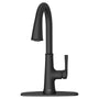 Renate 1.5 GPM Single Hole Pull Down Kitchen Faucet - Includes Escutcheon