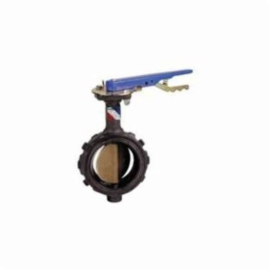 Wafer Style Butterfly Valve, Lever Handle, 2-1/2 in, Flange, Ductile Iron