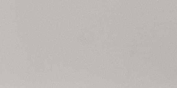 Industrial Park Light Gray Rectangle 12X24 Matte