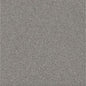 ROYAL GRAY R11 8X8