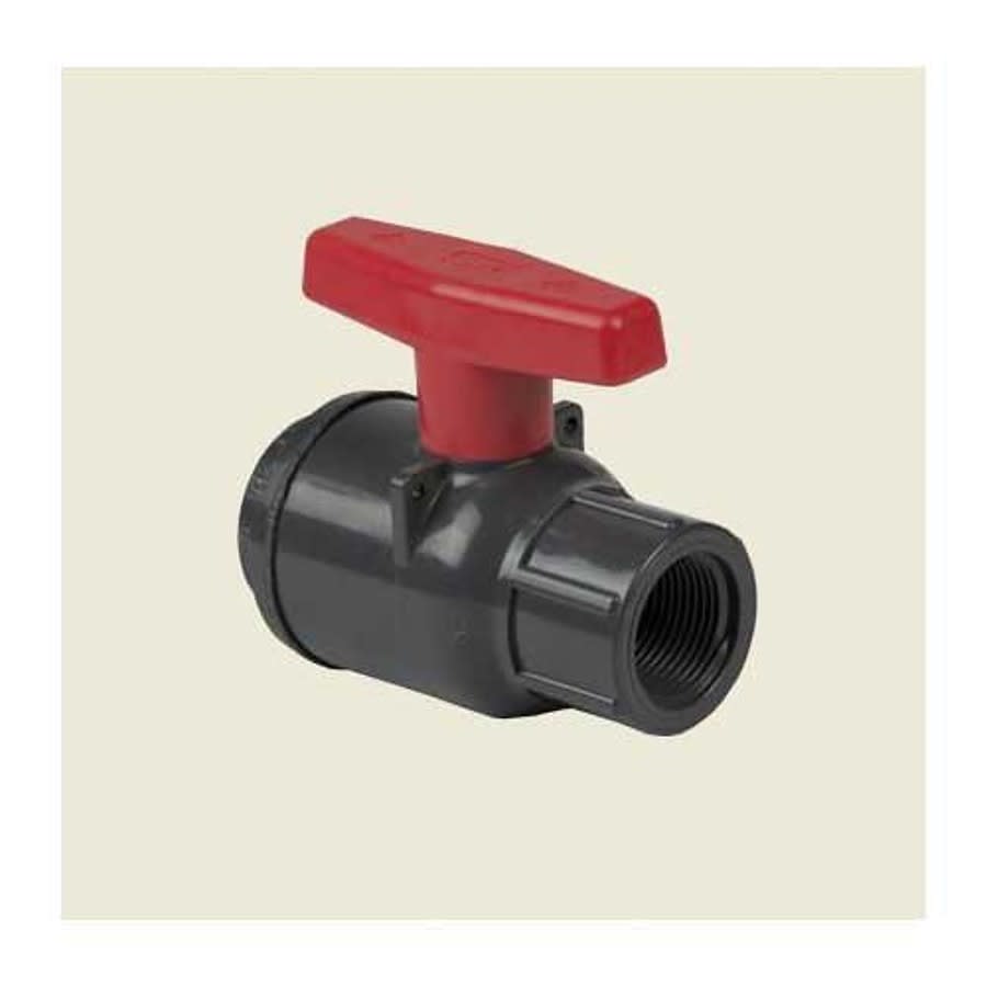 1-Piece Ball Valve, 1 in, FNPT, Standard Port, PVC Ball, PVC