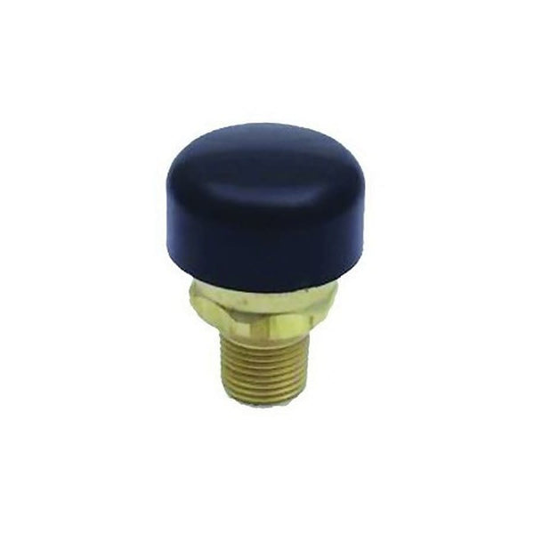 Drilled Vent Vacuum Relief Valve With Dust Cover, 1/2 in, NPT, 200 psi, Brass Body