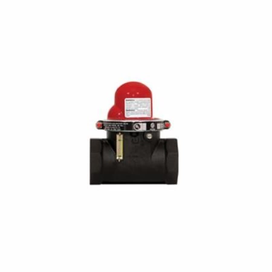 Horizontal Earthquake Valve, 2 in, FNPT