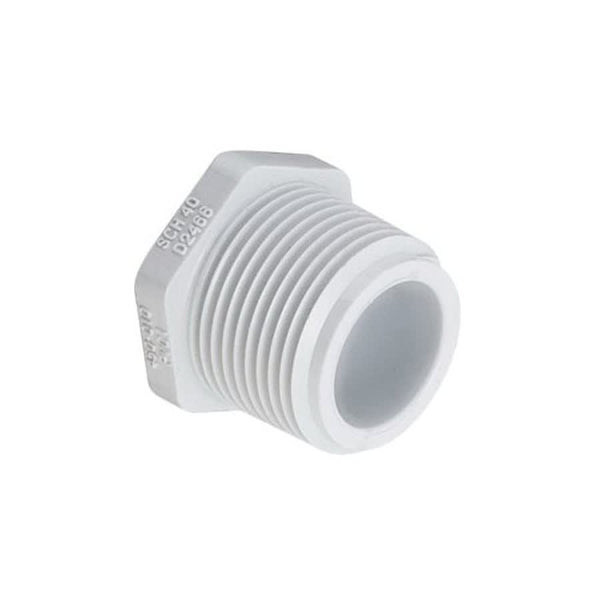 Plug, 1 in, MNPT, SCH 40/STD, PVC