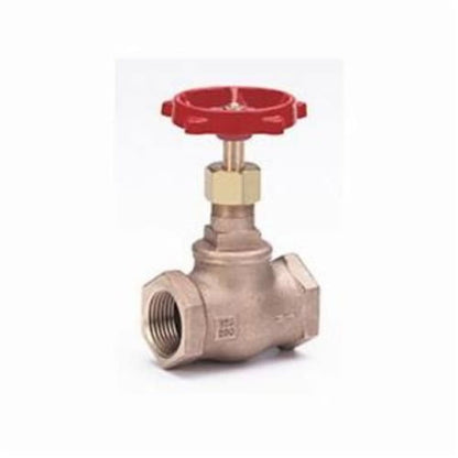 502 Rising Stem Globe Valve, 1-1/2 in, FNPT, Bronze