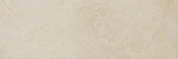 Platinum Almond Rectangle 12X24 Matte