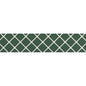 VECTORA GREEN GL 2X11