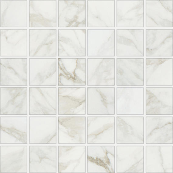 Marble Obsession Arabescato Rectangle 12X24 Matte