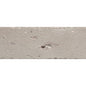 PLURIFY LAVA IVORY GL 3X8
