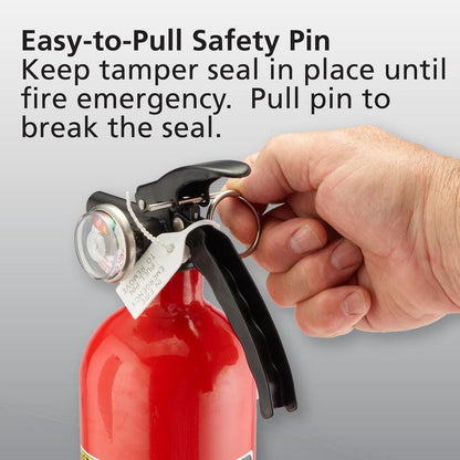 Basic Use Fire Extinguisher with Easy Mount Bracket & Strap, 1-A:10-B:C, Dry Chemical, One-Time Use, 2-Pack