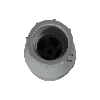 Spring Check Valve, 3/4 in, Socket, PVC