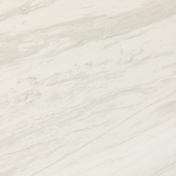 Perpetuo Timeless White Square 24X24 Matte