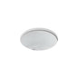 Porto Fino™ Single Bowl Bar Sink, Top/Under Mount, ADA, 18-3/8 x 18-3/8 in, 8 in Bowl Depth, Cast Iron, White