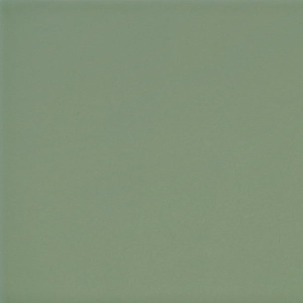 BG OLIVE GREEN 3X6