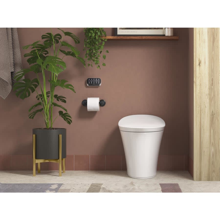 Tone Wall Mounted Pivoting Toilet Paper Holder