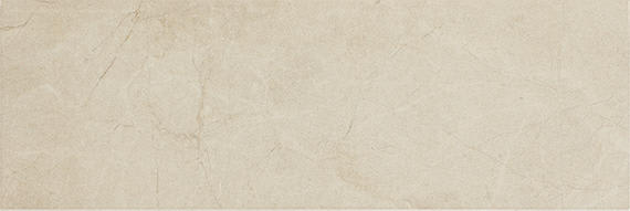 Platinum Almond Rectangle 12X24 Matte