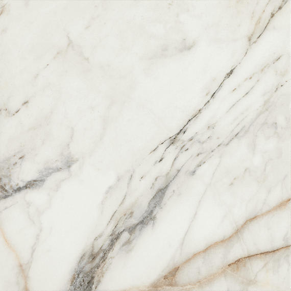 Savoir Cafe Square 24X24 Matte
