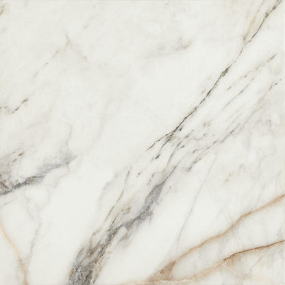 Savoir Cafe Rectangle 12X24 Polished