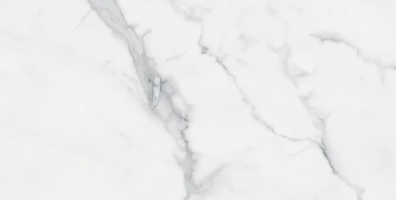 BIANCO VENATINO PO 12X24 R