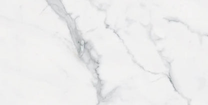 BIANCO VENATINO PO 12X24 R