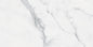 BIANCO VENATINO PO 12X24 R