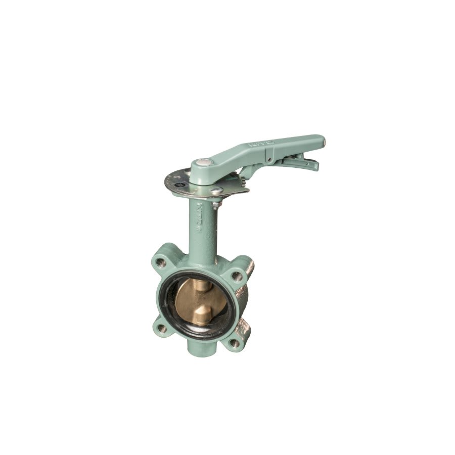 Lug Style Butterfly Valve, Lever Handle, 3 in, Flange, Ductile Iron