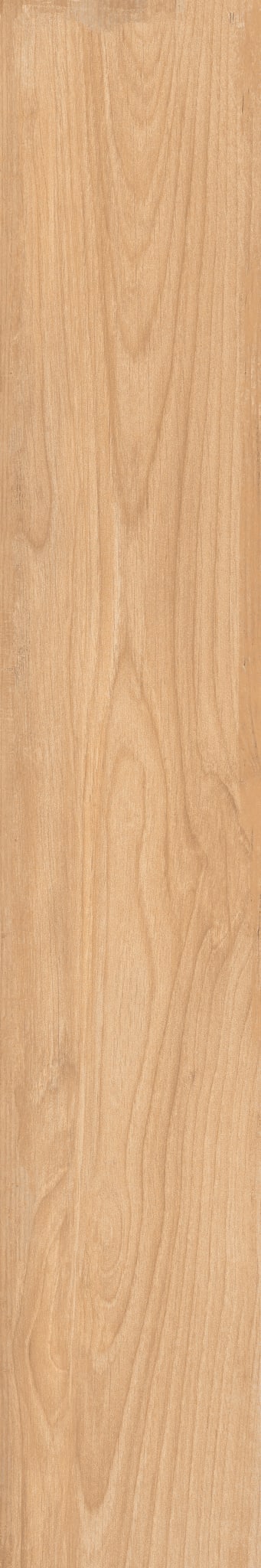 SAVAGE CARAMEL 8X48