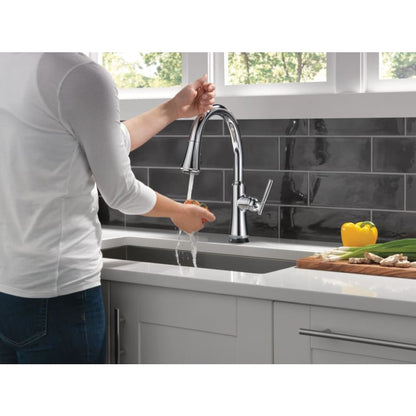 Coranto 1.8 GPM Single Hole Pull Down Kitchen Faucet with On/Off Touch Activation, Magnetic Docking Spray Head and ShieldSpray