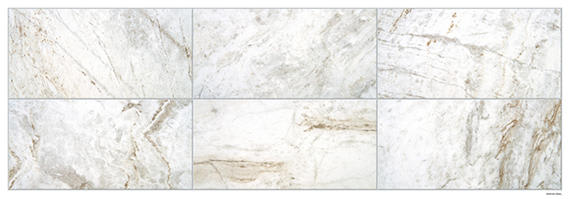 Mythique Marble Majestic Rectangle 12X24 Polished