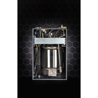 Condensing Tankless Water Heater, 251 Kbtu/hr, Natural/Propane, Indoor/Outdoor