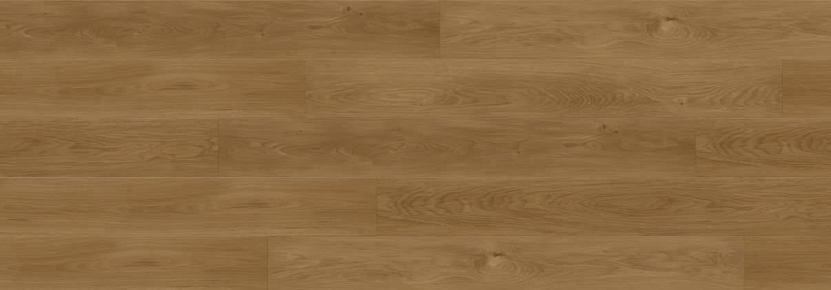 Rainforest Brown