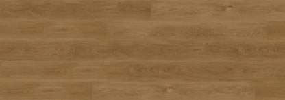Rainforest Brown