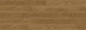 Rainforest Brown