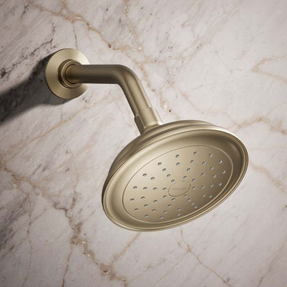 Artifacts 2.5 GPM Single Function Shower Head with Katalyst Air-Induction Technology