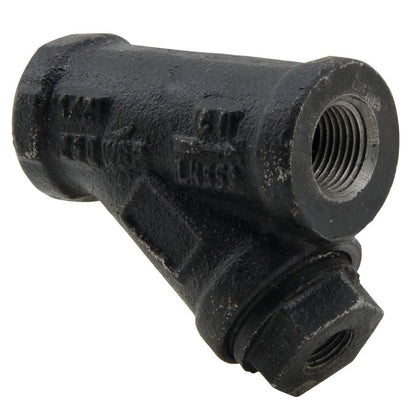 77SI Strainer, 1/2 in, FNPT, Cast Iron