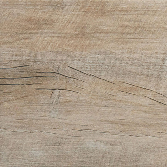 Timber Tortora