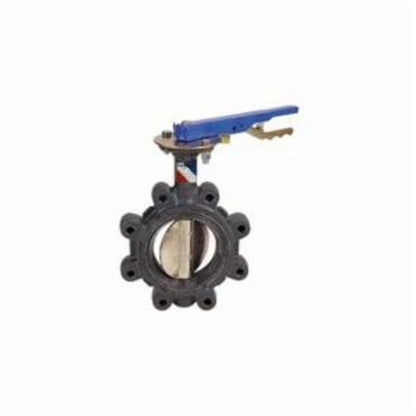 Lug Style Butterfly Valve, Gear Operator, 12 in, Flange, Ductile Iron