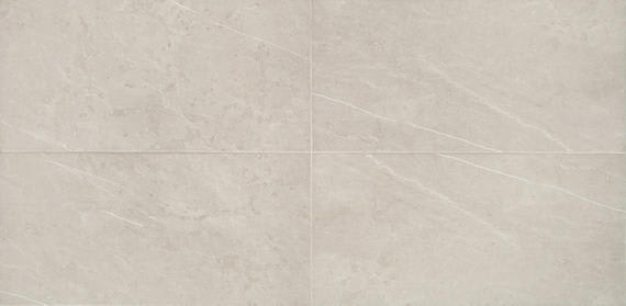 Prime Dynamic Beige Rectangle 12X24 Matte