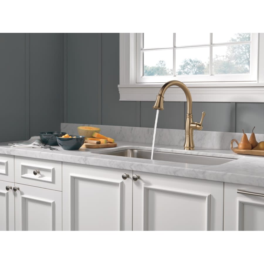 Cassidy Pull-Down Kitchen Faucet with Magnetic Docking Spray Head and ShieldSpray - Includes Lifetime Warranty